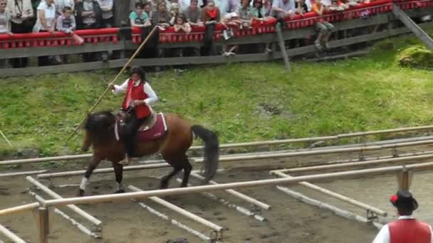 Seis Włochy Czerwca 2013 Niezidentyfikowanych Ludzi Przez Wydarzenie Nazwie Oswald — Wideo stockowe