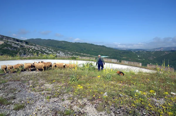 Řecký Epirus — Stock fotografie