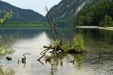 Avusturya, alp gölü ile manzara