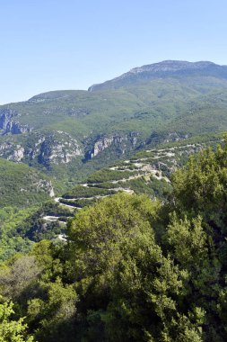Yunanistan, Epirus Bölgesi