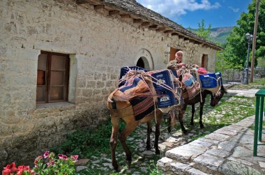 Kalarites, Yunanistan - Haziran 06, 2019: Dağ köyünde eşeği olan kimliği belirsiz bir adam, Tzoumerka Ulusal Parkı 'ndaki bir Aromanian namı diğer Ulah köyü, geleneksel ulaşım için kullanılan eşekler, çünkü trafik ve caddeler mümkün değil.