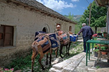 Kalarites, Yunanistan - Haziran 06, 2019: Tzoumerka Ulusal Parkı 'ndaki bir Aromanian köyü olan Kalarites dağ köyünde kimliği belirsiz adamlar, geleneksel ulaşım için kullanılan eşekler, çünkü trafik ve caddeler mümkün değil.