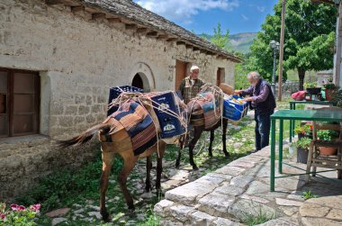 Kalarites, Yunanistan - Haziran 06, 2019: Tzoumerka Ulusal Parkı 'ndaki bir Aromanian köyü olan Kalarites dağ köyünde kimliği belirsiz adamlar, geleneksel ulaşım için kullanılan eşekler, çünkü trafik ve caddeler mümkün değil.