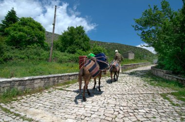 Yunanistan, Epirus, dağ köyünde eşeği olan kimliği belirsiz bir adam Kalarites, Tzoumerka Ulusal Parkı 'ndaki Ulah köyü, geleneksel ulaşım türü, çünkü trafik yok, bu köyde arabalar ve kamyonlar için caddeler yok.