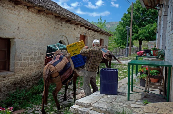 Greece Epirus Unidentified Man Donkeys Mountain Village Kalarites Aromanian Aka — Stock Photo, Image