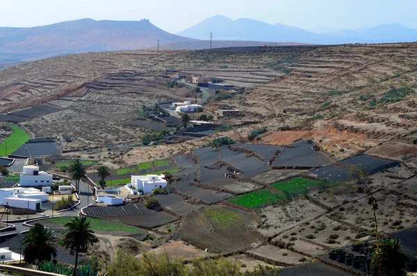 Španělsko Lanzarote Domy Zemědělské Oblasti Terasovými Poli Los Valles Kanárský — Stock fotografie