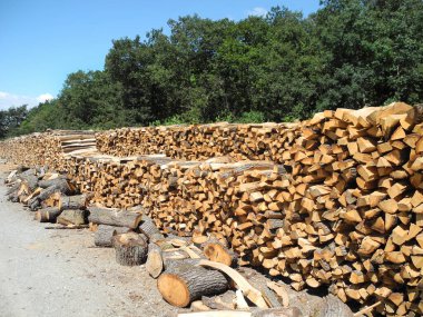 Avusturya, kesim odunları ile odun yığını, ortak bir orman yönetimi