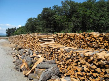 Avusturya, kesim odunları ile odun yığını, ortak bir orman yönetimi