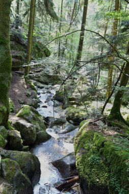 Avusturya, Ysperklamm ysper alp deresi boyunca uzanan patikaları, köprüleri ve şelaleleri ile Batı Avusturya 'nın bir parçası olan waldviertel' deki doğal bir anıttır.