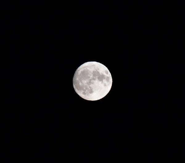 Bulan Purnama Langit Malam — Stok Foto