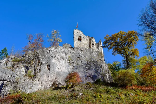 Austria Rovina Del Castello Johannstein Nella Riserva Naturale Sparbach Patrimonio — Foto Stock