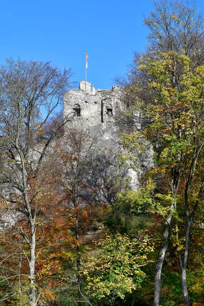 Austria Ruina Del Castillo Johannstein Reserva Natural Sparbach Unesco Patrimonio — Foto de Stock