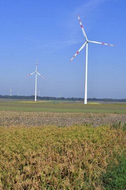 Avusturya, darı tarlası ve rüzgar türbinleri