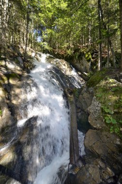 Spital am Pyhrn, Avusturya, Dr. Vogelgesang vadisi, şelaleli doğal bir manzara, Kalkalpen ulusal parkındaki köprüler, Yukarı Avusturya 'nın en uzun vadisi, tırmanacak 500 adım var.