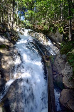 Spital am Pyhrn, Avusturya, Dr. Vogelgesang vadisi, şelaleli doğal bir manzara, Kalkalpen ulusal parkındaki köprüler, Yukarı Avusturya 'nın en uzun vadisi, tırmanacak 500 adım var.