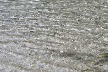 Avusturya, steyr nehrinin temiz suyu Yukarı Avusturya 'nın Pyhrn-Priel tatil bölgesinde yer alan Kalkalpen Ulusal Parkı' ndaki dere yatağında çakıl taşlarının üzerinden akıyor.