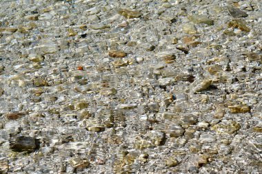 Avusturya, steyr nehrinin temiz suyu Yukarı Avusturya 'nın Pyhrn-Priel tatil bölgesinde yer alan Kalkalpen Ulusal Parkı' ndaki dere yatağında çakıl taşlarının üzerinden akıyor.