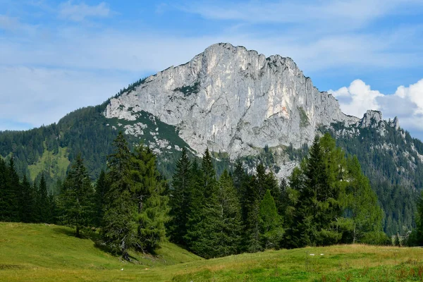 Austria Landscape Wurzer Alm Pyhrn Priel Holiday Region Located Kalkalpen — Stock Photo, Image