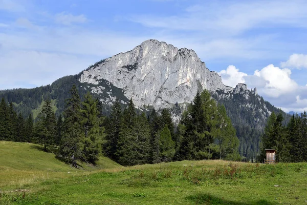 Österreich Landschaft Und Außentoilette Auf Der Wurzer Alm Der Ferienregion — Stockfoto