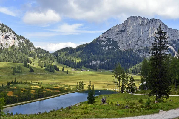 Austria Krajobraz Wurzer Alm Regionie Wypoczynkowym Pyhrn Priel Położony Parku — Zdjęcie stockowe