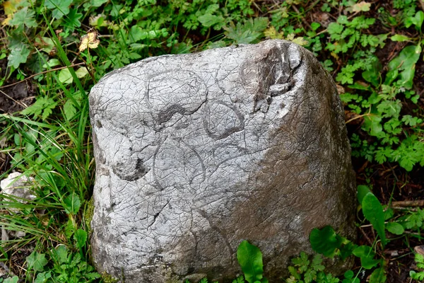 Austria, deposits from prehistoric times in boulder on Wurzer Alm, situated in Pyhrn-Priel holiday region in the Kalkalpen National Park in Upper Austria