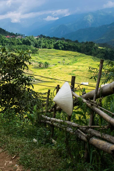 Imagen Gorro Una Valla Campo Arroz Sapa Norte Vietnam — Stock Photo, Image