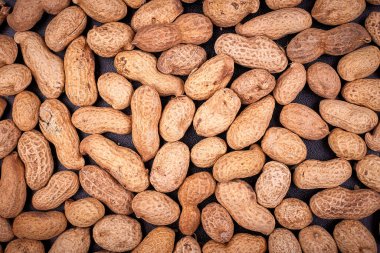 Kabuk dokusunda fıstık. Fıstık arkaplanı