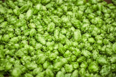 Yeşil sıçramalar arka plan için kullanışlı