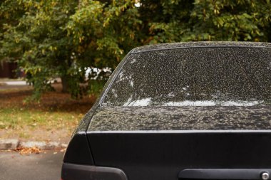 Yazın güneşli bir günde, arka pencereye park etmiş bir araba. Çıkartma veya çıkartma için modelleme