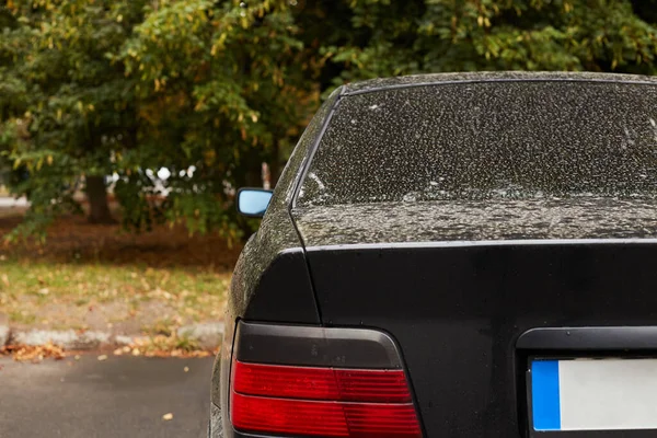 Achterruit Van Een Auto Geparkeerd Straat Zomer Zonnige Dag Achteraanzicht — Stockfoto