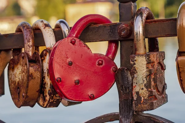 Many Padlocks Chained Railing Bridge — Stock Photo, Image