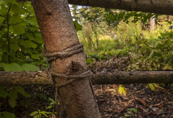 Ein Einfacher Zaun Aus Stöcken Und Grobem Seil — Stockfoto