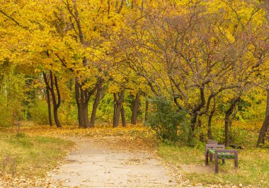 Eski terk edilmiş bir parkta Ekim