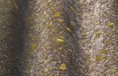 Çatının bir kısmı eski levha ile kaplıydı.