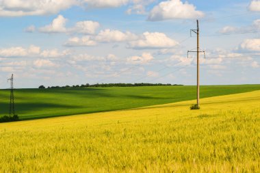 Sarı alan ve mavi gökyüzü