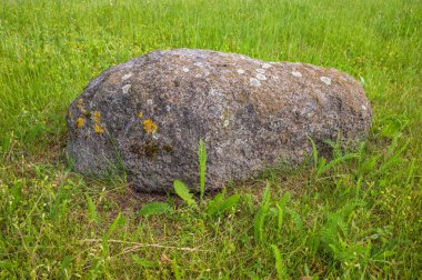 Yeni bir çimenlikteki eski bir taş