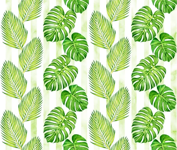 Tropical palm leaves, jungle monstera leaf floral summer seamless background