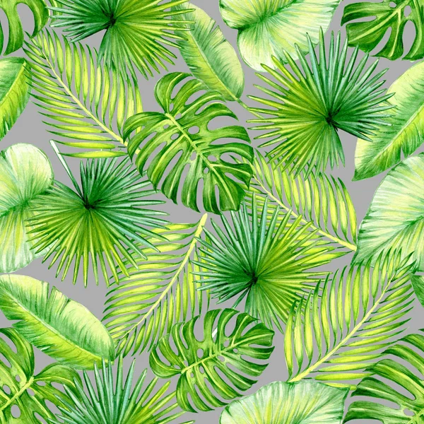 Tropical palm leaves, jungle monstera leaf floral summer seamless background on grey backgroun