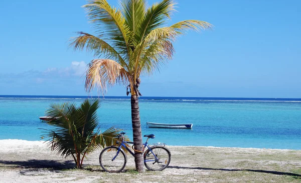 Bicicleta Junto Palmera Playa Exótica Mauricio — Foto de Stock