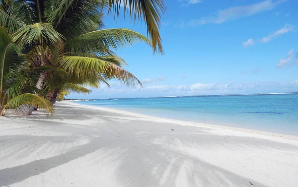 Hermosa Playa Arena Blanca Con Palmeras Océano — Foto de Stock