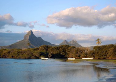 Arka planda dağ ile gün batımında Tamarin defne manzara