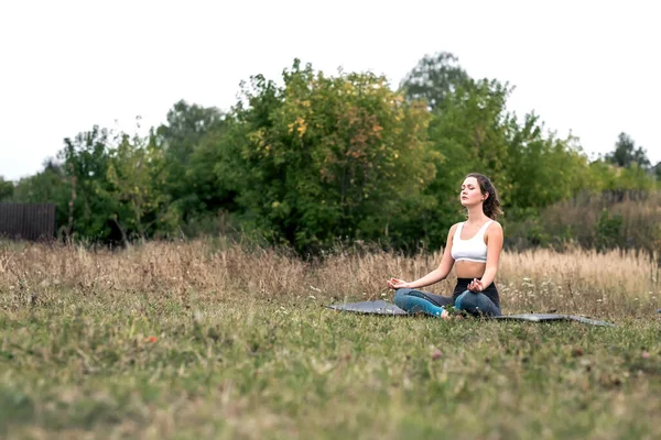 Young sporty woman doing fitness exercises near the river against the background of the forest. Young sporty woman doing fitness exercises near the river against the background of the forest.