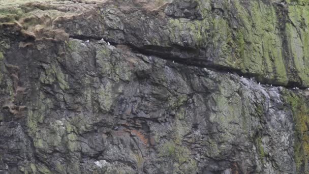 Pembrokeshire National Park Temby Wales Sea Cliffs Rocks Natura Ocean — Stock Video