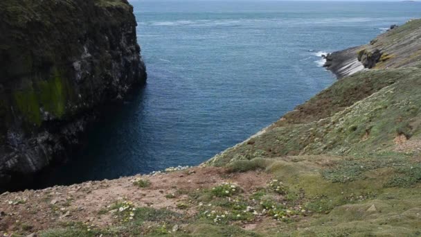 Pembrokeshire National Park Temby Wales Sea Cliffs Rocks Natura Ocean — Stock Video