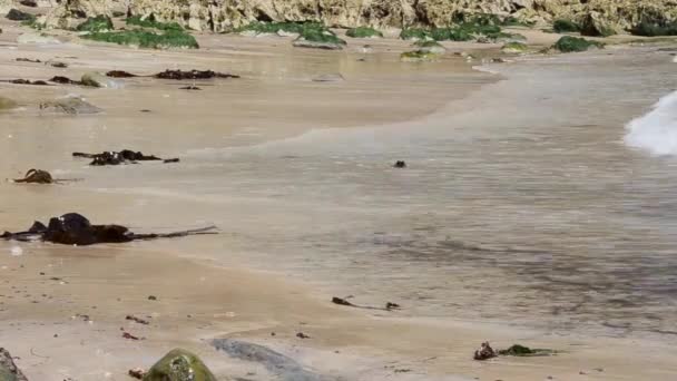 Национальный Парк Пемброкшир Тембю Уэльс Великобритания Море Скалы Природа Океан — стоковое видео