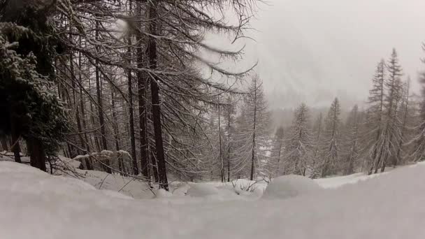 Paisaje Invierno Con Nieve Arroyo Invierno Frío Congelación Nieve Agua — Vídeo de stock