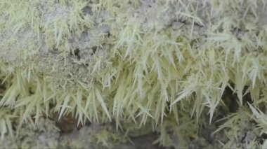 Phlegraean alanlar, Campi Flegrei, Solfatara, sis, buhar, fumaroles, volkanik alan, volkan, vulcano, caldera, hidrotermal aktivite, Pozzuoli, Napoli, Naples, İtalya,