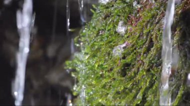 Yeşil yosun üzerindeki şelaleyi kapat