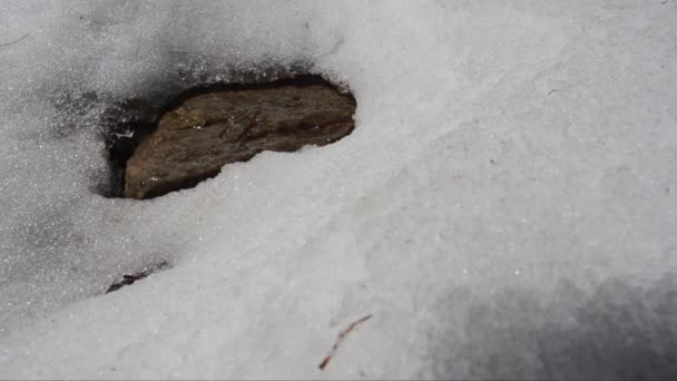 Smeltende Sneeuw Lente Hoge Berg — Stockvideo