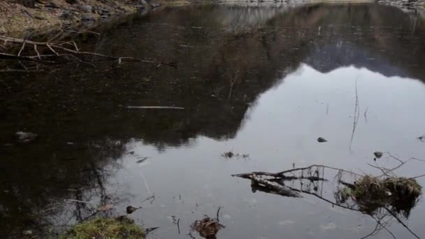 Lago Panorâmico Madeira Água Reflexão Árvores Lago Sant Agostino Lago — Vídeo de Stock